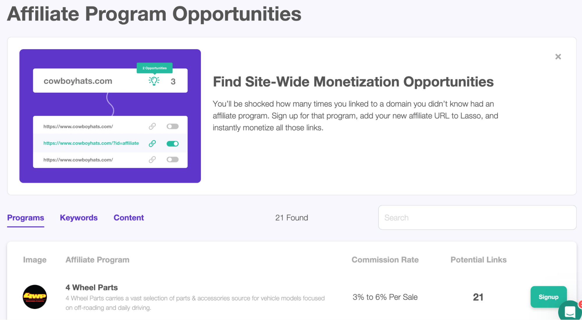 Affiliate Marketing for Bloggers: How to Earn Big | Lasso affiliate program opportunities
