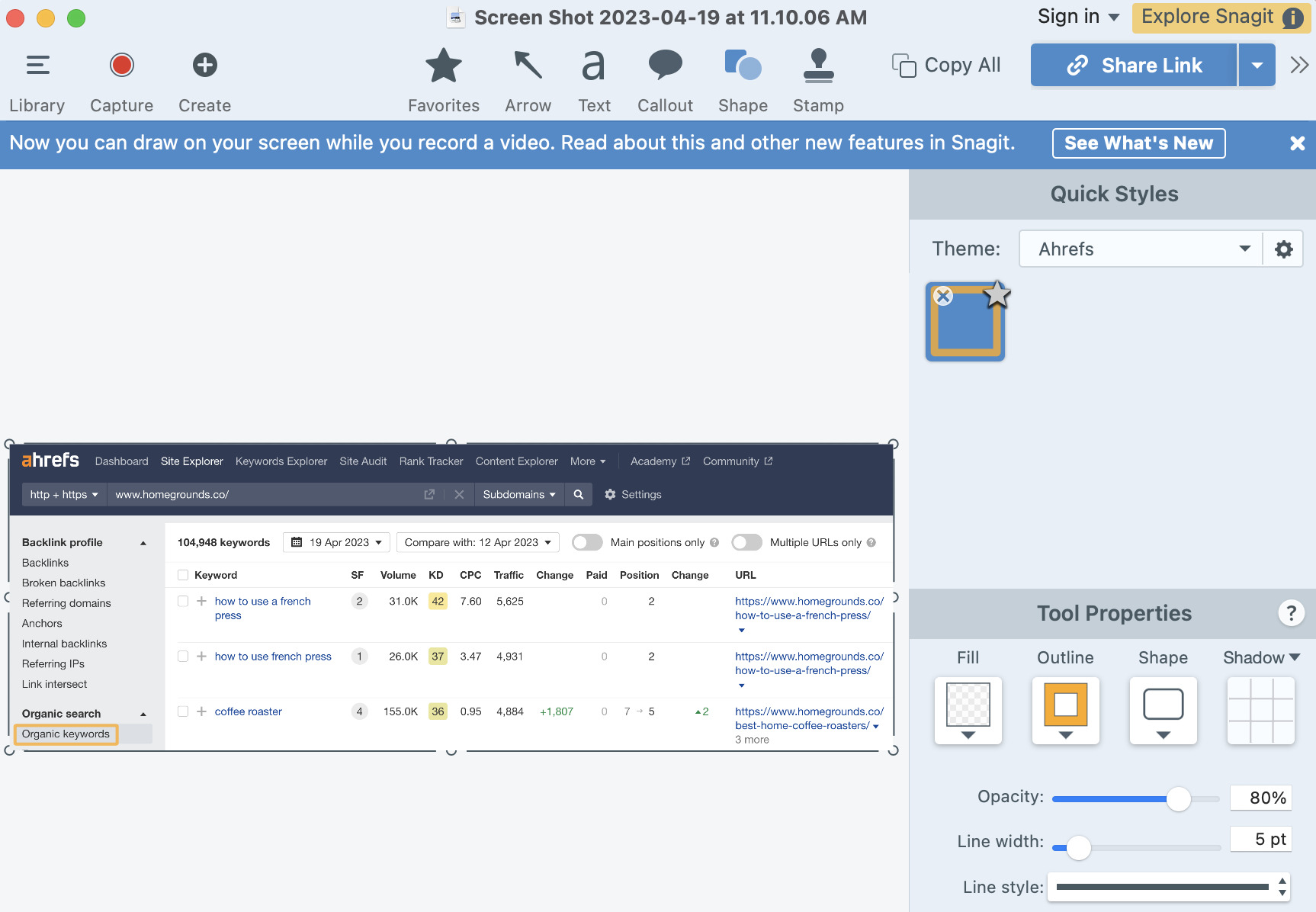 Affiliate Marketing for Bloggers: How to Earn Big | Snagit screen capture editing interface