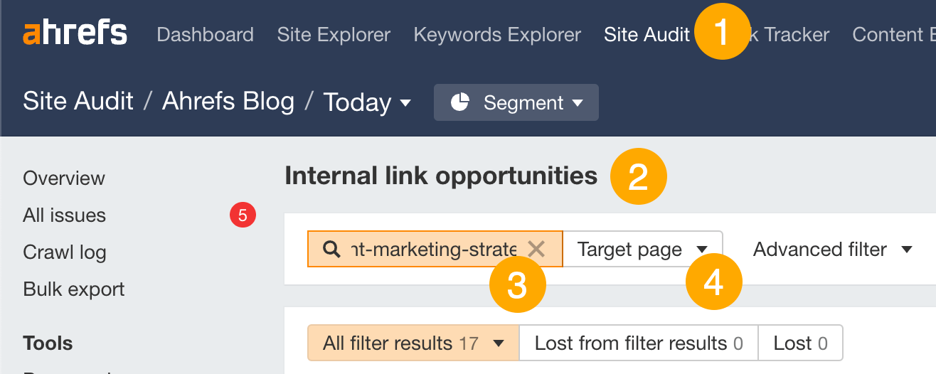 15 Easy SEO Tips for Higher Rankings | Finding internal link opportunities in Ahrefs' Site Audit
