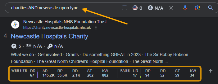 How to Gain SEO Experience & Improve Your Skills | Charity search example