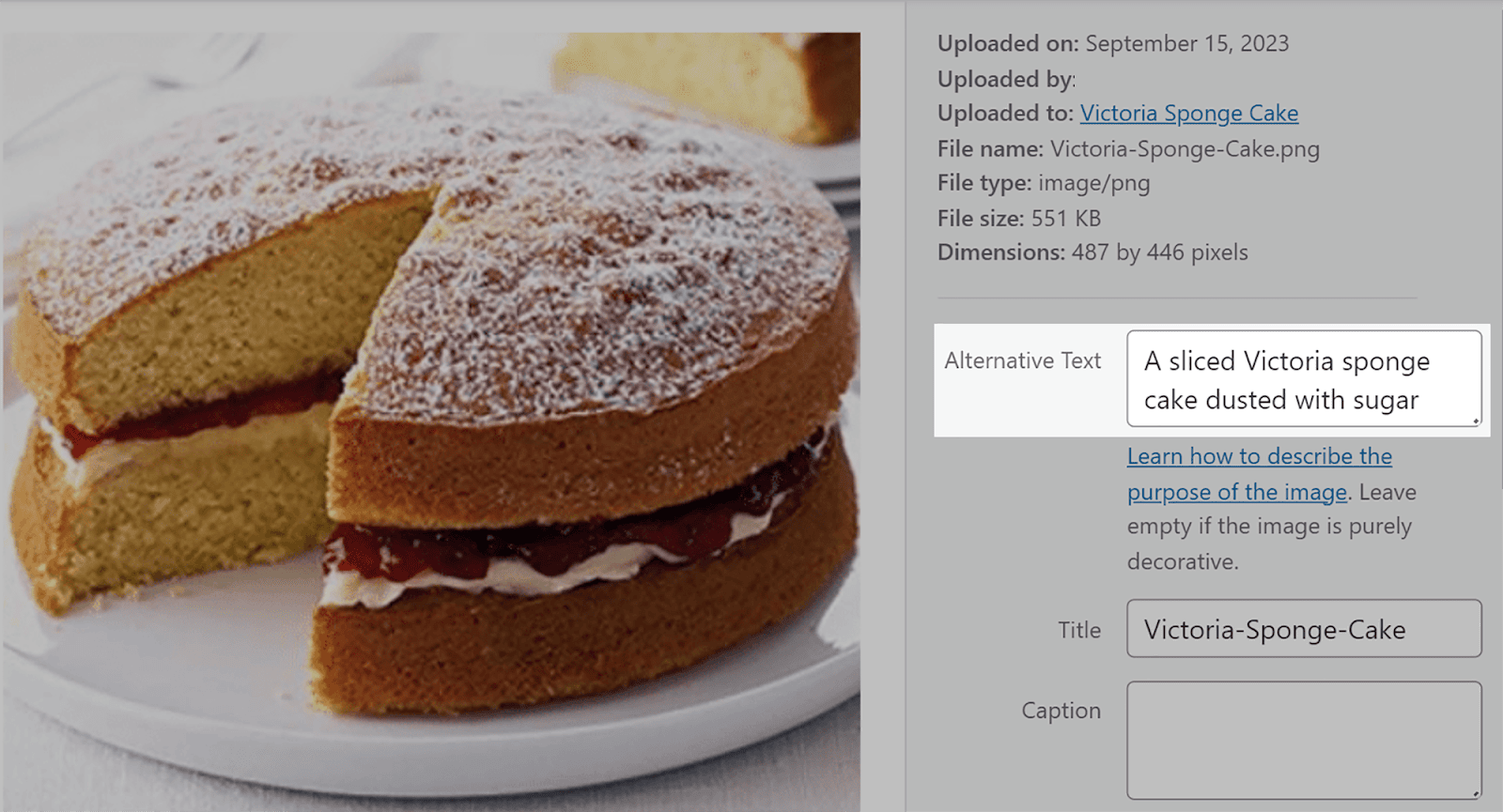 Find your image from media library to add alt text Find your image from media library to add alt text