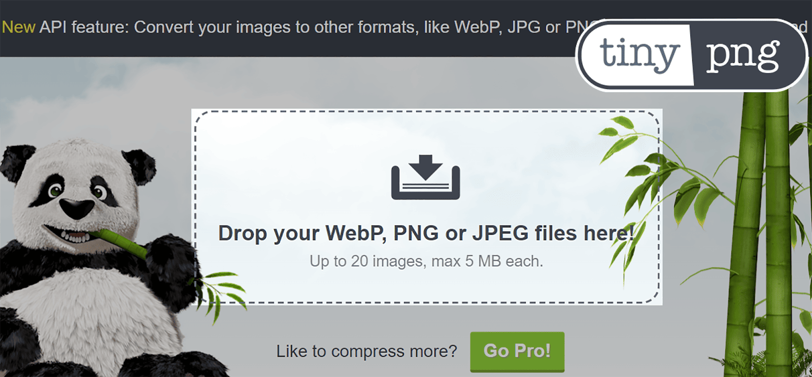 Use TinyPNG for image optimization Image SEO: 15 Tips for Image Optimization |