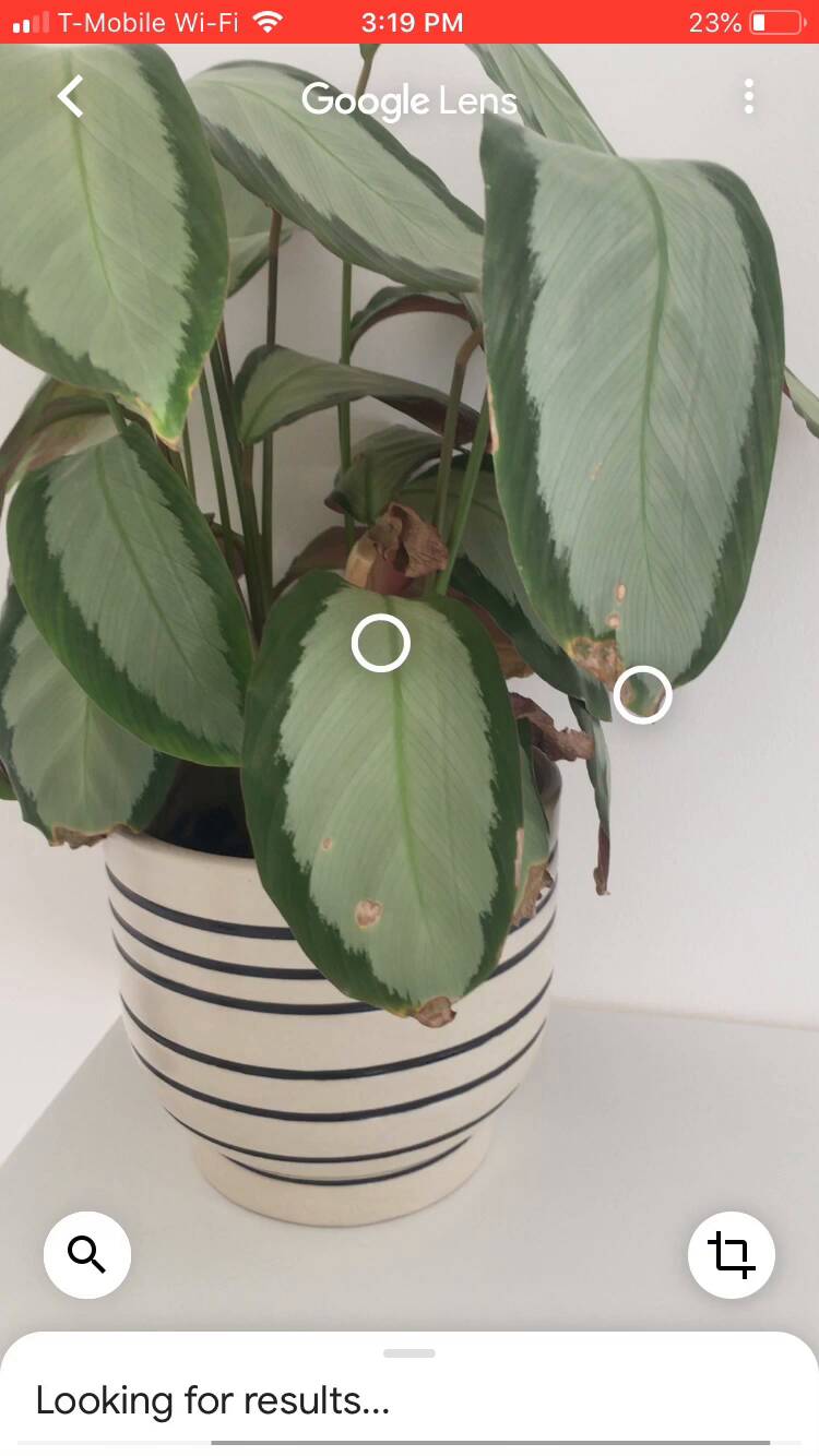 SEO Trends in 2024 and How to Adapt |