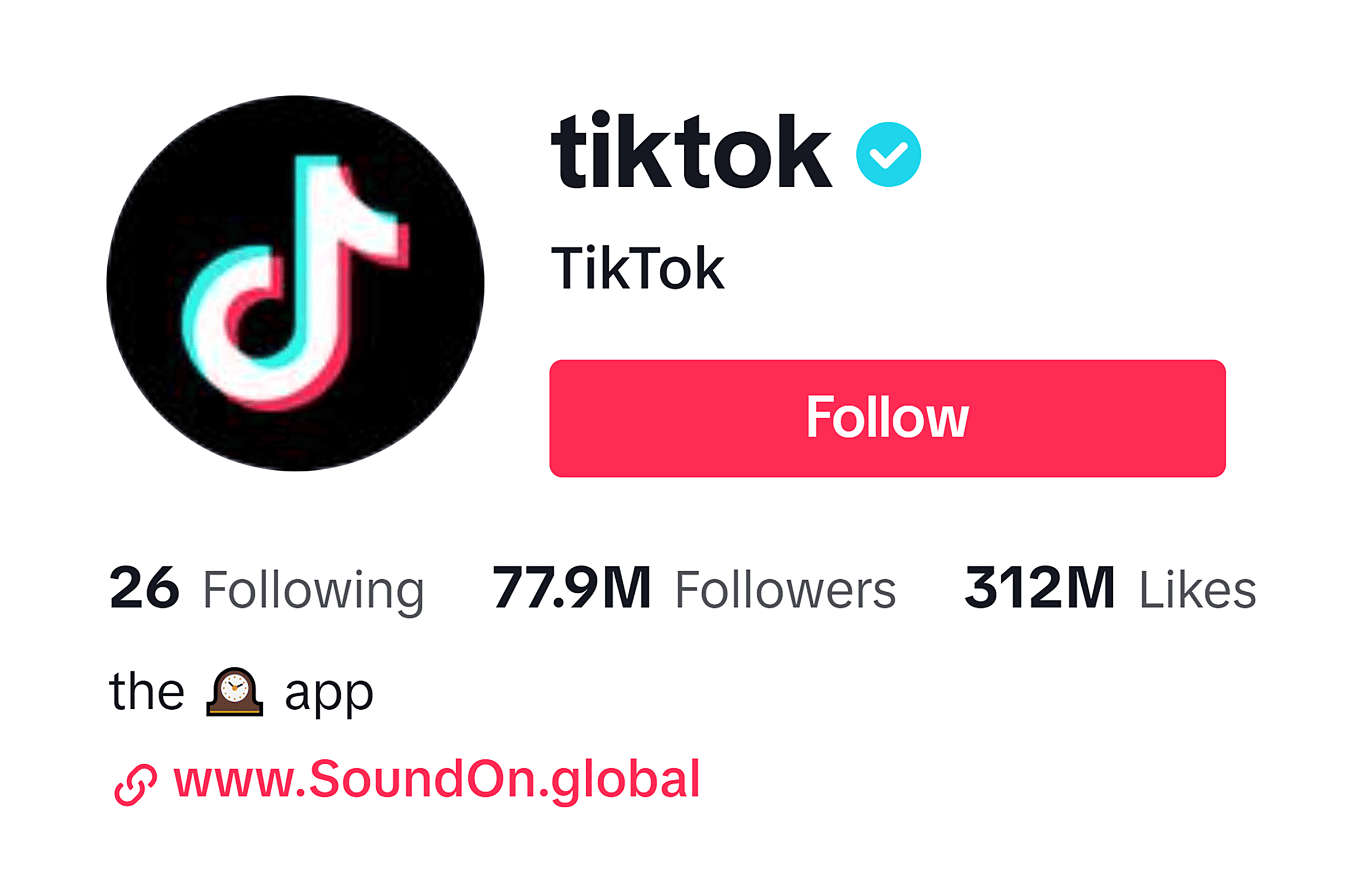 TikTok – Company profile picture TikTok – Company profile picture