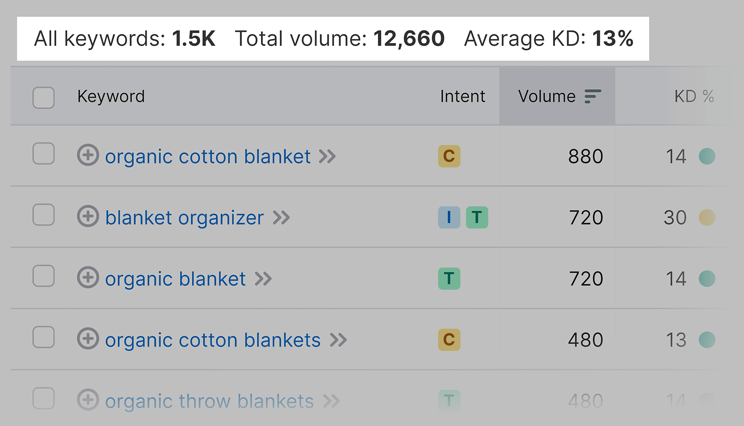 Keyword Magic Tool – Report