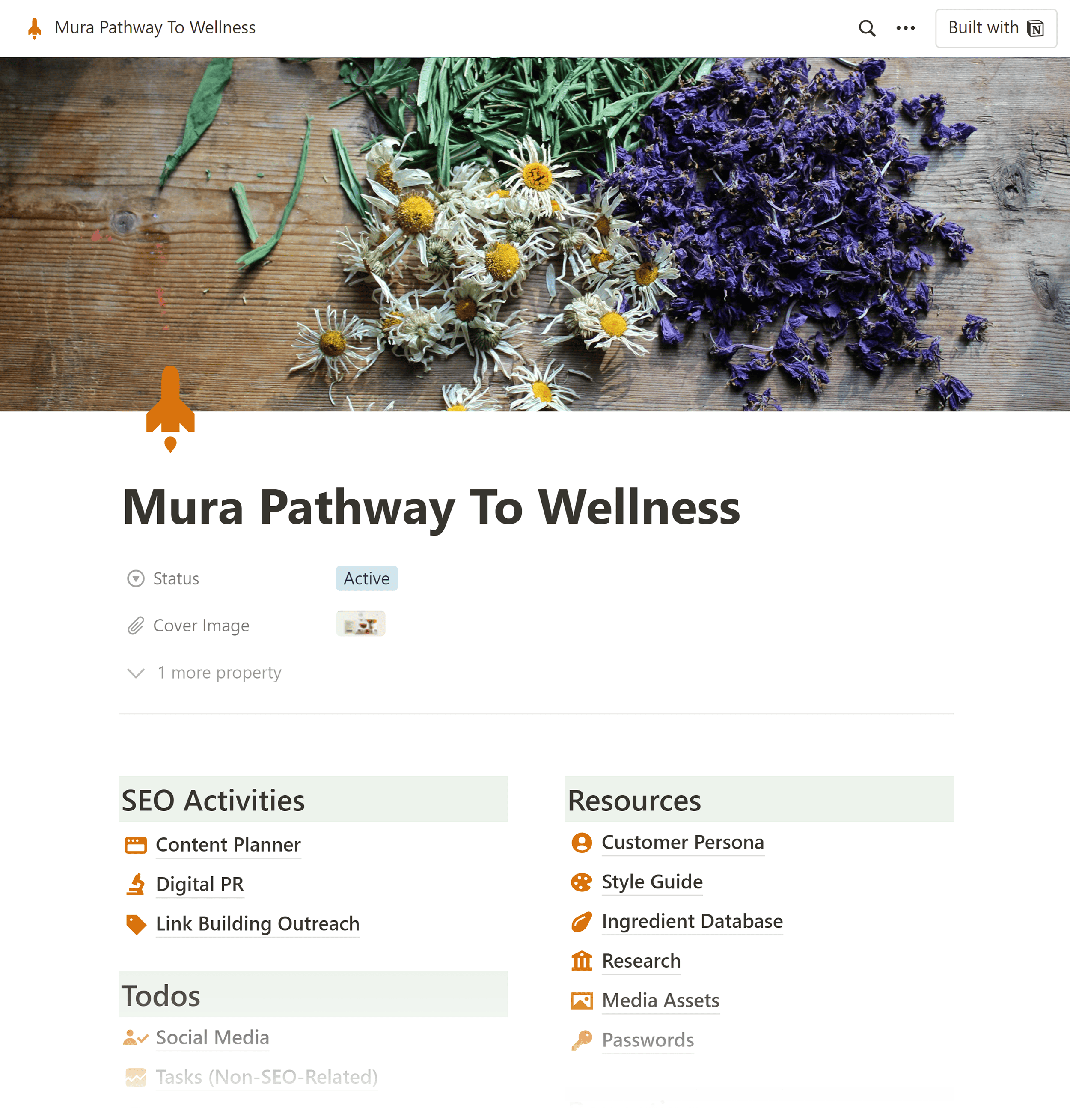Notion – Client portal
