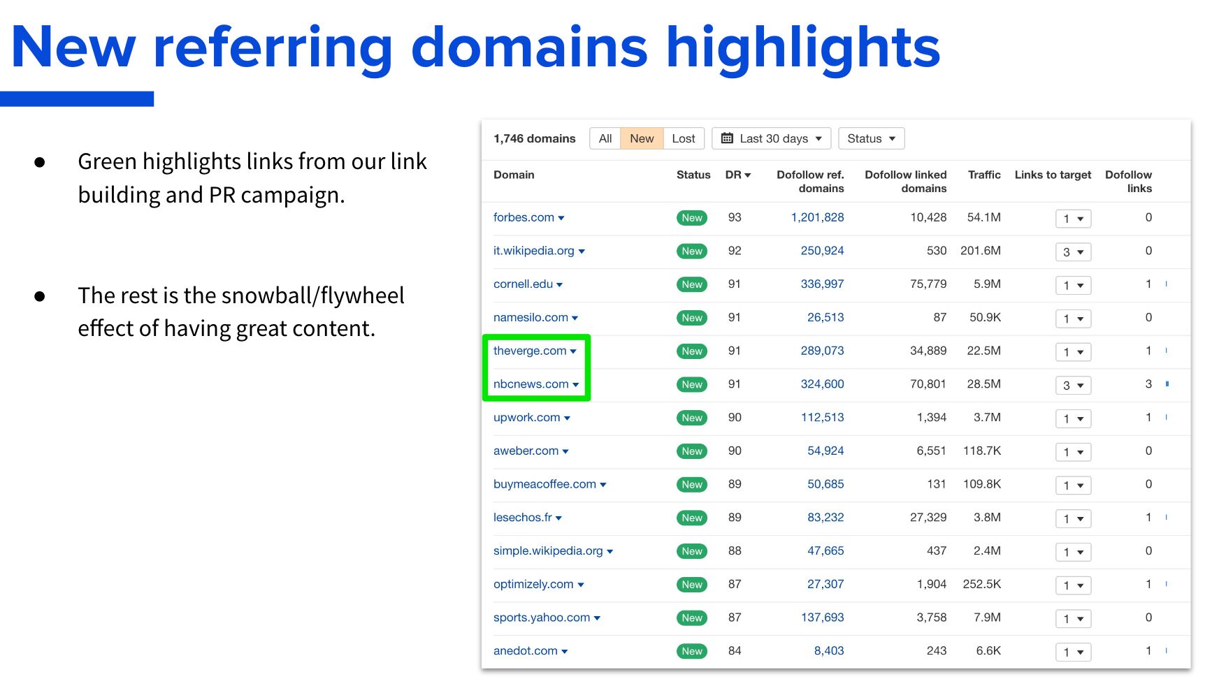 Steal Our SEO Report Template (Inspired by SEO Experts) | New referring domains highlights screenshot