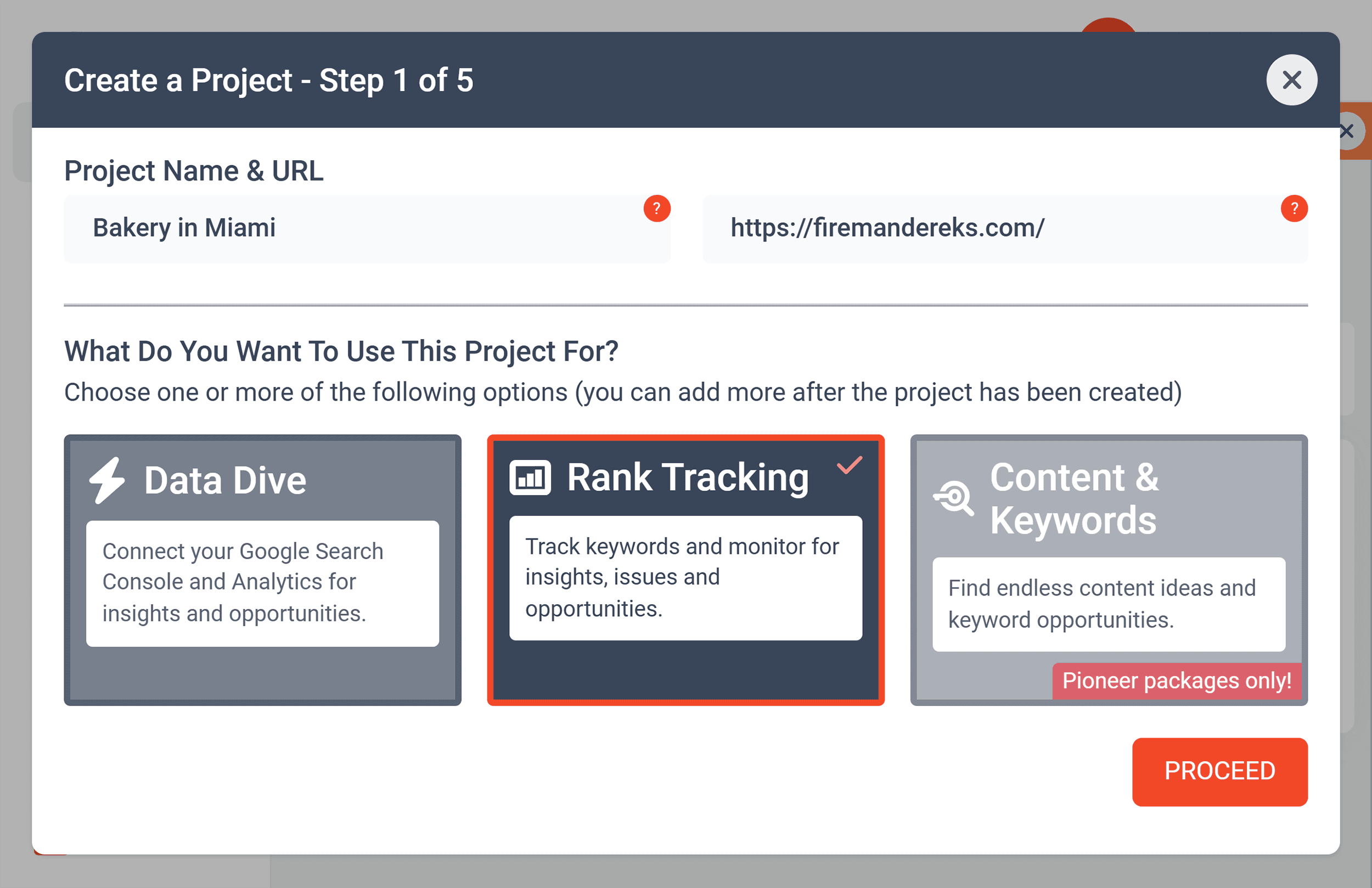 RankCaddy – Create a Project