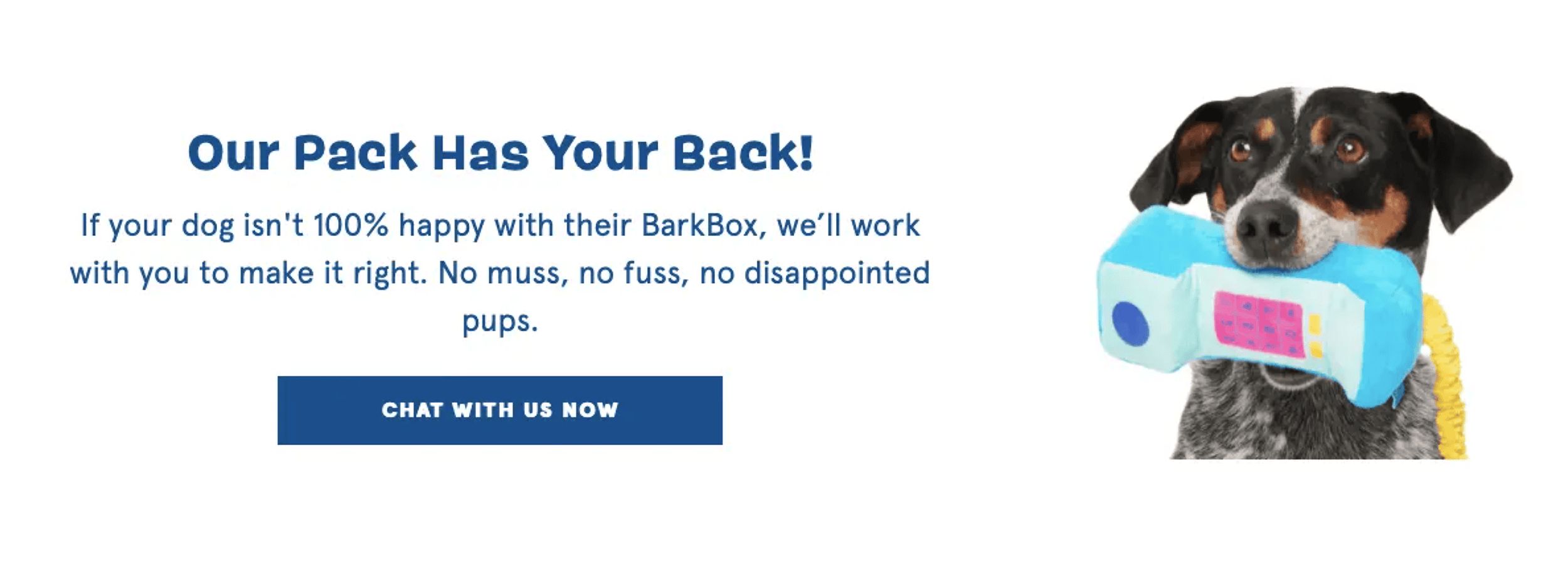 BarkBox – Relatable language