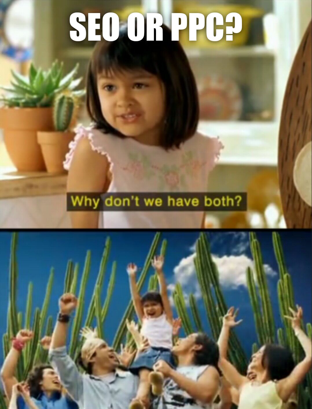 Advanced SEO: My Top 8 Tactics Shared By 107 SEOs | SEO or PPC? Why don't we have both? meme