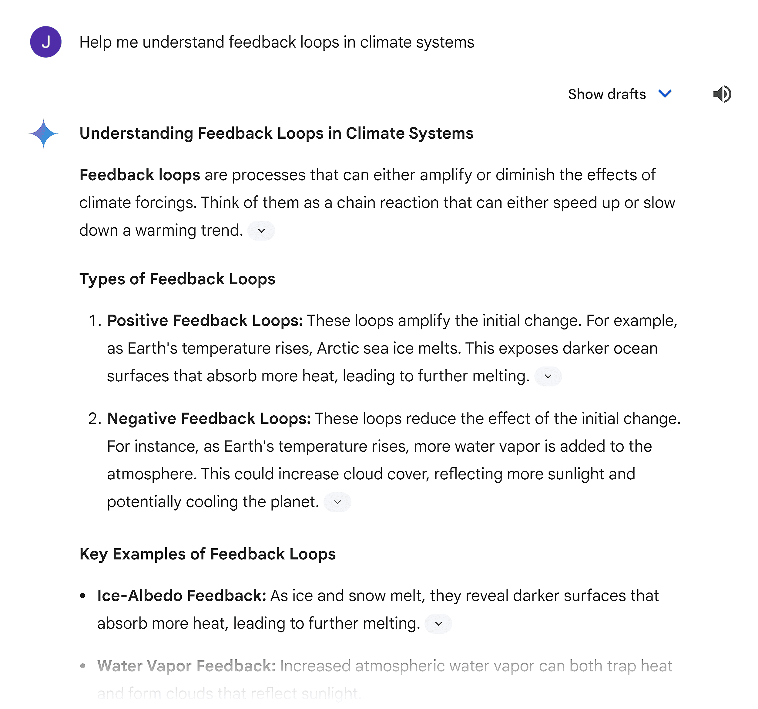 Gemini helps us understand the concept Gemini helps us understand the concept