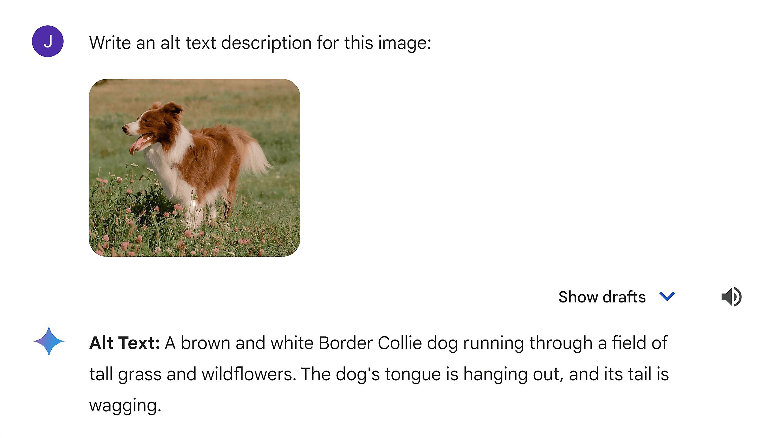 Gemini – Image alt text description Gemini – Image alt text description