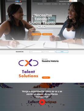 Dallas Web Developer, Website developer, Web Developers Dallas, Website Design, Web Page Designer, Web Design, Web Development, Website Development, Web-Development, Web Designer |